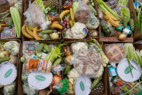 MutualAidActionLA-14